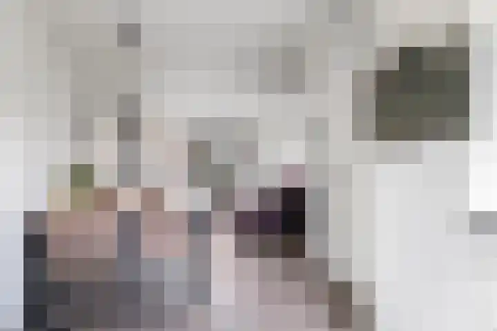 Steenbeekstraat 30 Zetten thumbnail 27