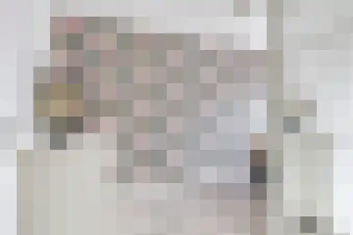 Steenbeekstraat 30 Zetten thumbnail 31