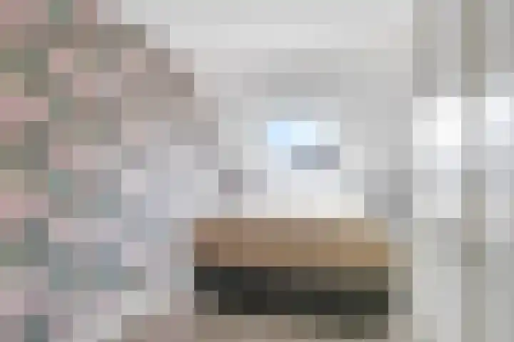 Steenbeekstraat 30 Zetten thumbnail 32