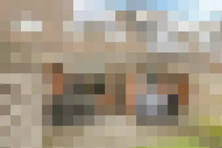 Steenbeekstraat 30 Zetten thumbnail 4