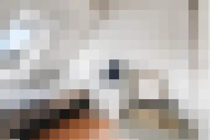 Steenbeekstraat 30 Zetten thumbnail 44