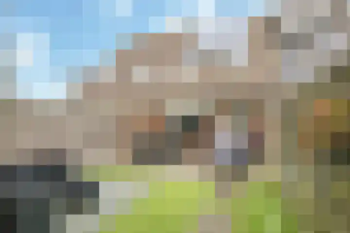 Steenbeekstraat 30 Zetten thumbnail 49