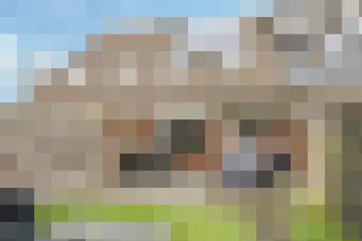 Steenbeekstraat 30 Zetten thumbnail 59