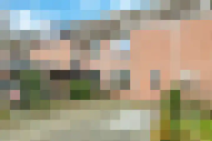 Steenbeekstraat 30 Zetten thumbnail 65