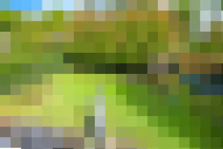 Steenbeekstraat 31 Zetten thumbnail 10