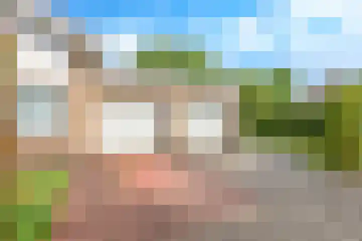 Steenbeekstraat 31 Zetten thumbnail 12