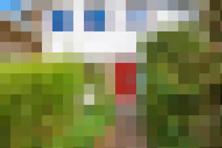 Steenbeekstraat 31 Zetten thumbnail 14