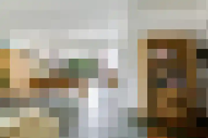 Steenbeekstraat 31 Zetten thumbnail 18