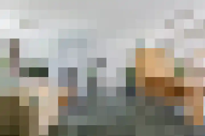 Steenbeekstraat 31 Zetten thumbnail 19