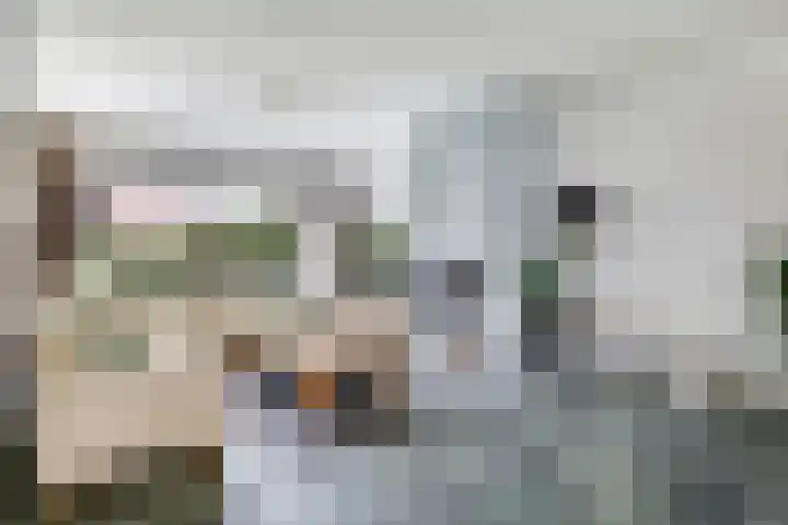 Steenbeekstraat 31 Zetten thumbnail 20