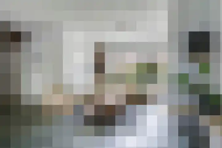 Steenbeekstraat 31 Zetten thumbnail 21