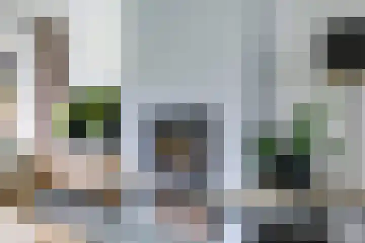 Steenbeekstraat 31 Zetten thumbnail 23