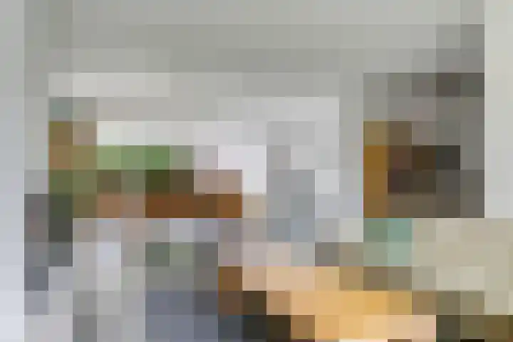 Steenbeekstraat 31 Zetten thumbnail 24