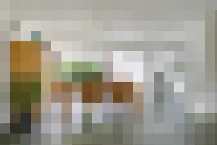 Steenbeekstraat 31 Zetten thumbnail 25