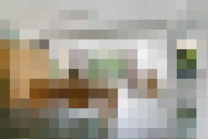 Steenbeekstraat 31 Zetten thumbnail 26