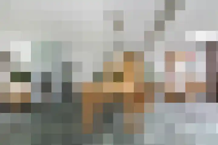 Steenbeekstraat 31 Zetten thumbnail 27