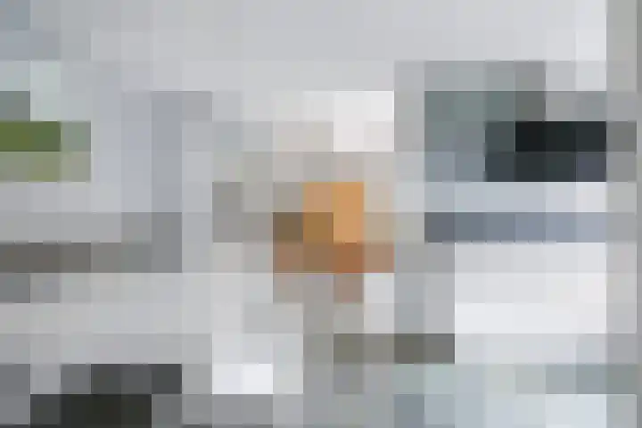 Steenbeekstraat 31 Zetten thumbnail 34