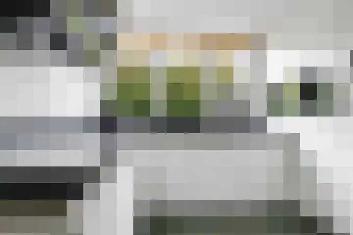 Steenbeekstraat 31 Zetten thumbnail 38