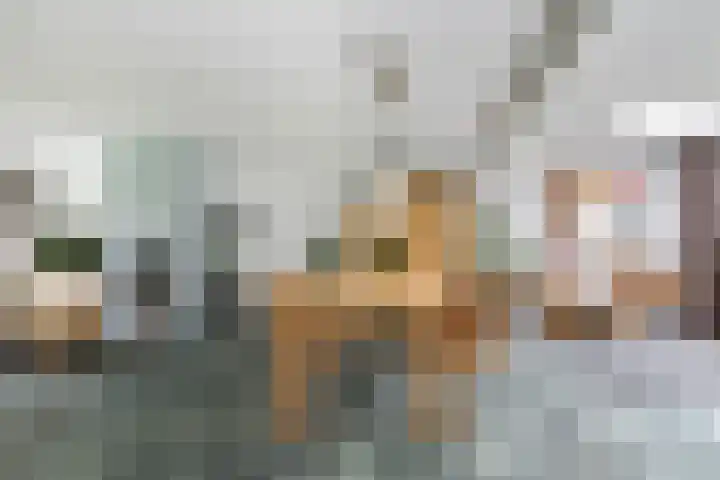 Steenbeekstraat 31 Zetten thumbnail 4