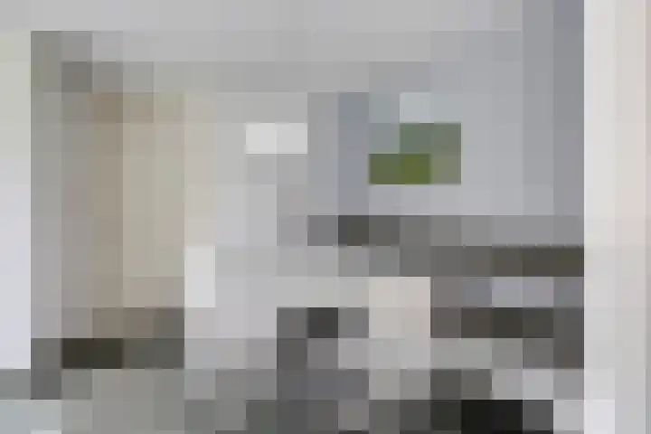 Steenbeekstraat 31 Zetten thumbnail 40