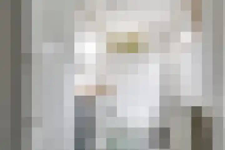 Steenbeekstraat 31 Zetten thumbnail 41