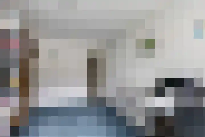 Steenbeekstraat 31 Zetten thumbnail 44
