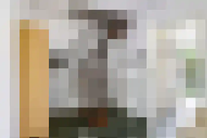 Steenbeekstraat 31 Zetten thumbnail 46
