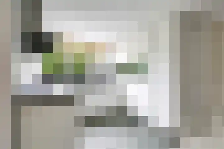 Steenbeekstraat 31 Zetten thumbnail 5