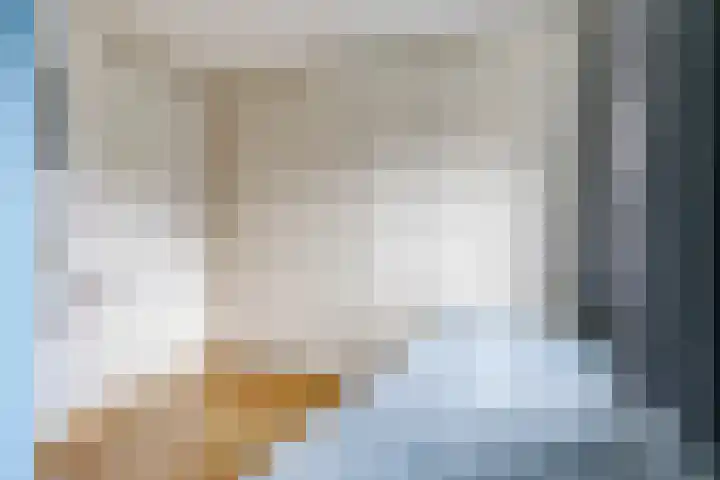 Steenbeekstraat 31 Zetten thumbnail 55