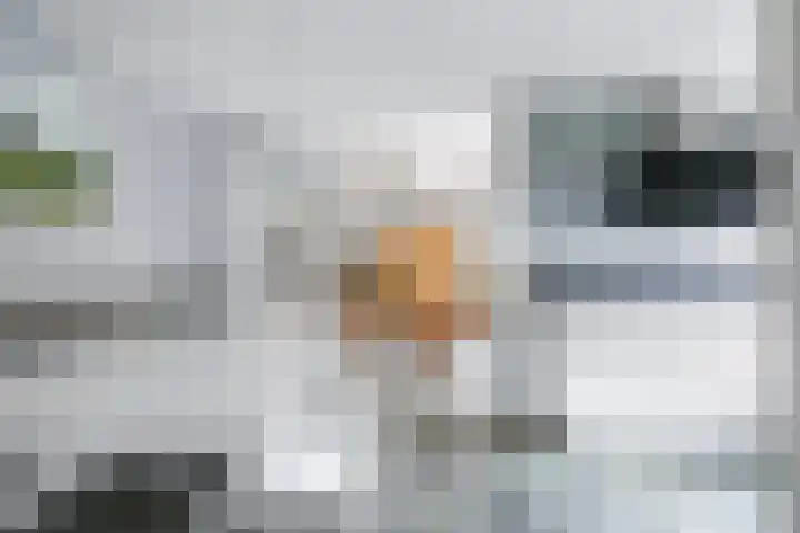 Steenbeekstraat 31 Zetten thumbnail 6