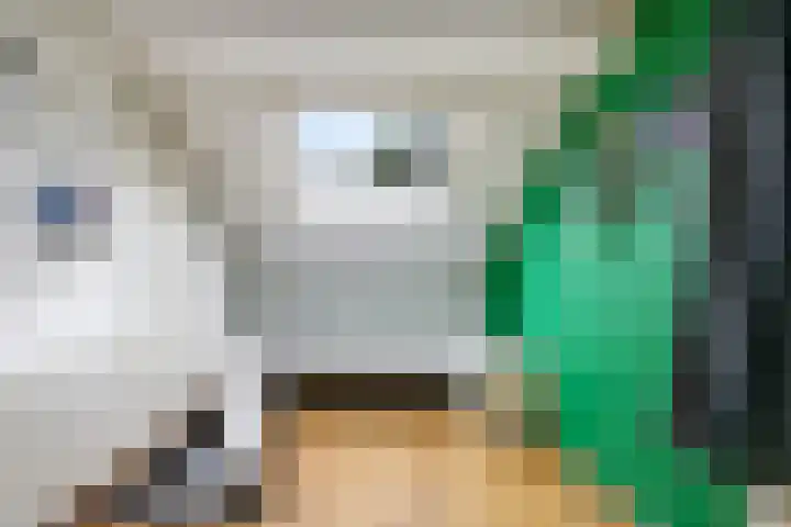 Steenbeekstraat 31 Zetten thumbnail 61