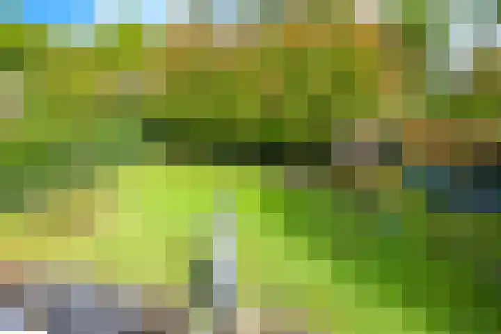 Steenbeekstraat 31 Zetten thumbnail 64