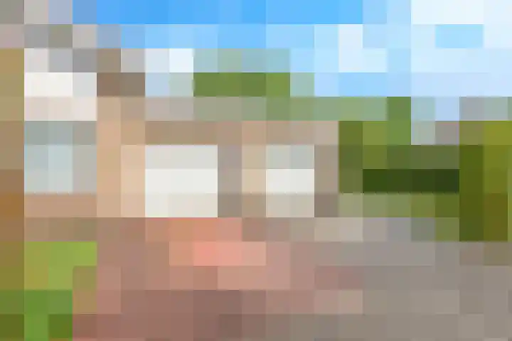 Steenbeekstraat 31 Zetten thumbnail 66