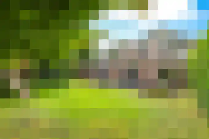 Steenbeekstraat 31 Zetten thumbnail 71