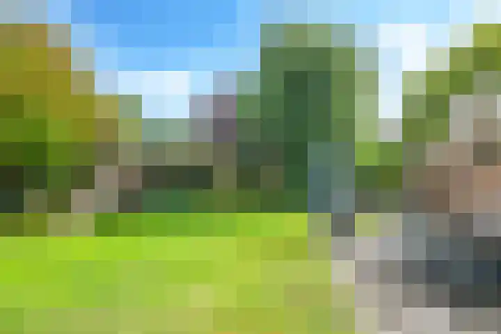 Steenbeekstraat 31 Zetten thumbnail 72