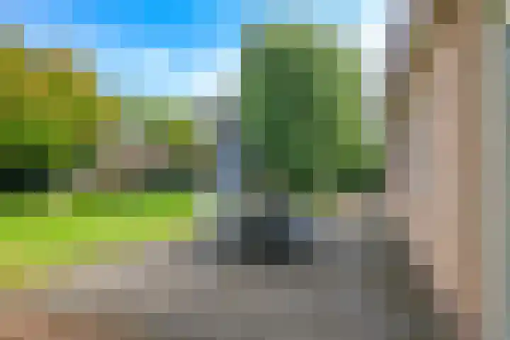 Steenbeekstraat 31 Zetten thumbnail 76