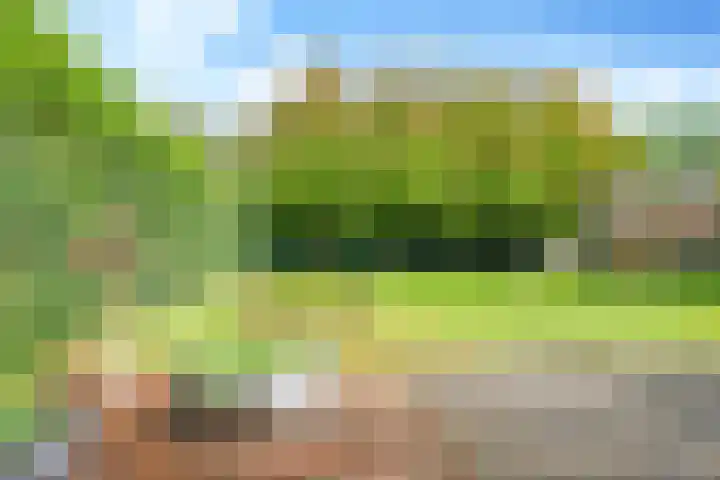 Steenbeekstraat 31 Zetten thumbnail 77