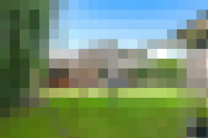 Steenbeekstraat 31 Zetten thumbnail 78