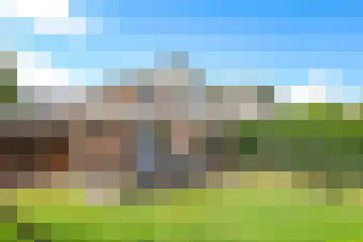 Steenbeekstraat 31 Zetten thumbnail 79