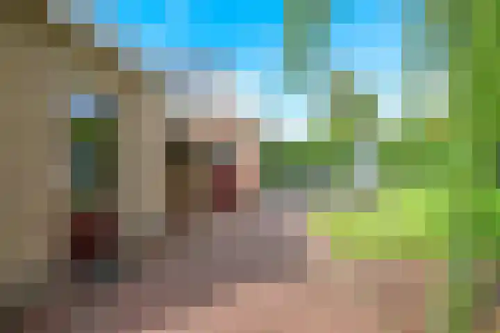 Steenbeekstraat 31 Zetten thumbnail 80