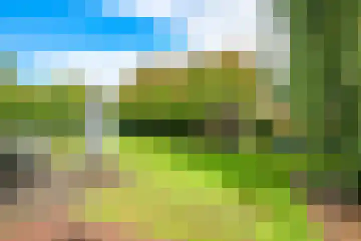 Steenbeekstraat 31 Zetten thumbnail 81