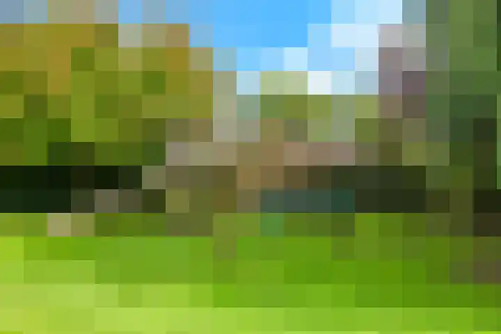 Steenbeekstraat 31 Zetten thumbnail 83