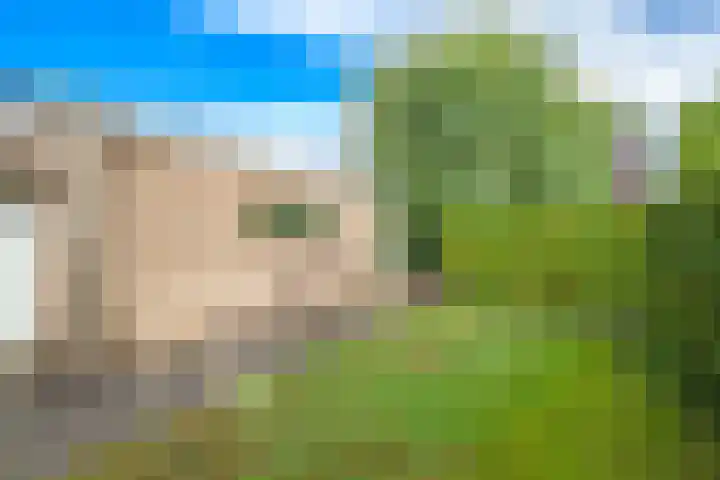 Steenbeekstraat 31 Zetten thumbnail 86