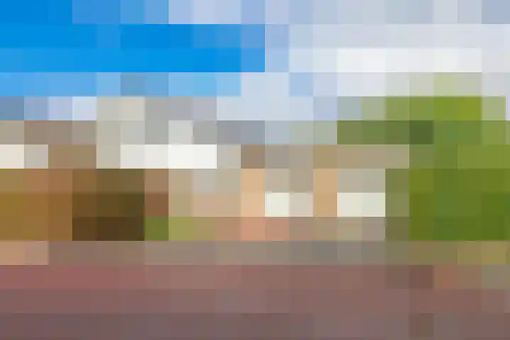 Steenbeekstraat 31 Zetten thumbnail 89
