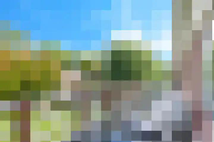 Steenbeekstraat 31 Zetten thumbnail 9