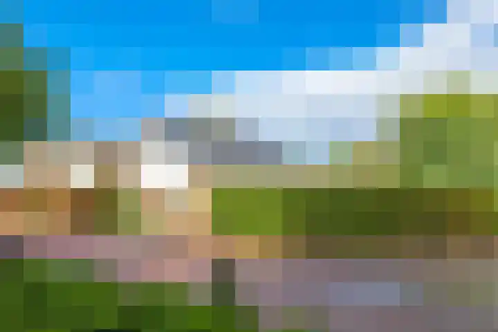 Steenbeekstraat 31 Zetten thumbnail 92