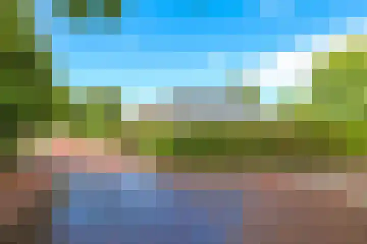 Steenbeekstraat 31 Zetten thumbnail 93
