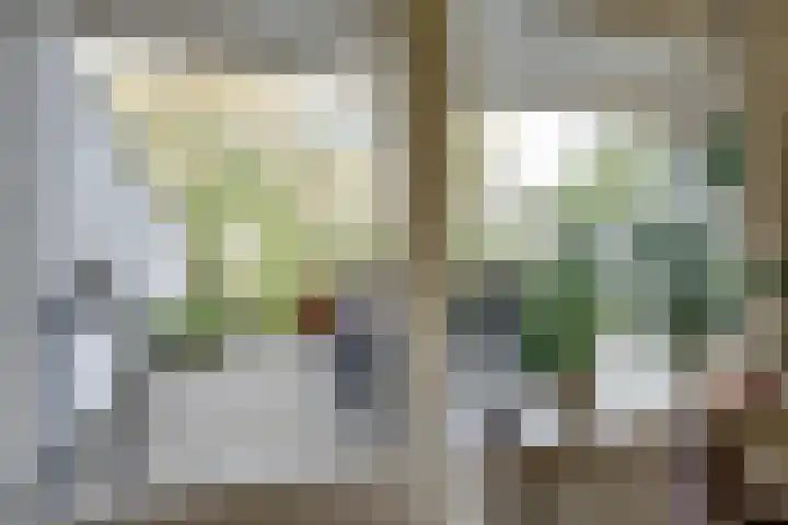 Steenbeekstraat 35 Zetten thumbnail 19