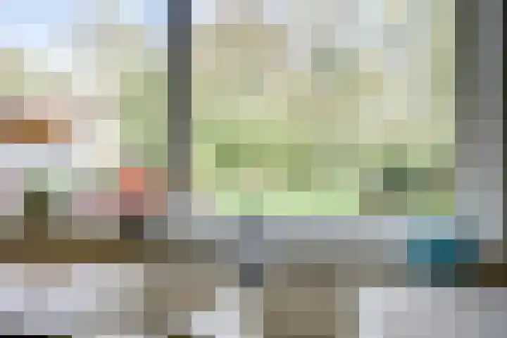 Steenbeekstraat 35 Zetten thumbnail 24