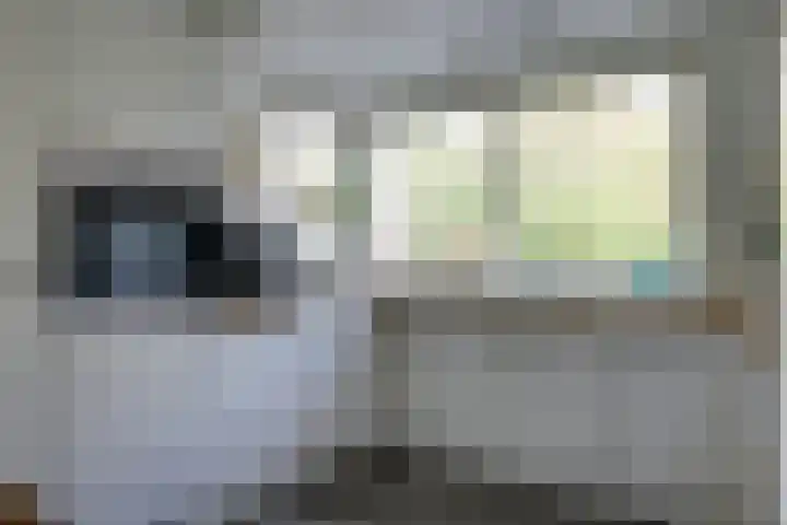 Steenbeekstraat 35 Zetten thumbnail 25